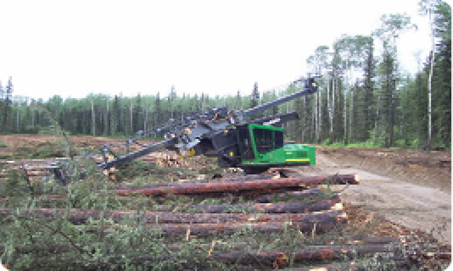 Site Partners with Bear Slashing